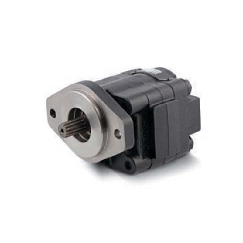 Motores de Hierro Fundido Parker